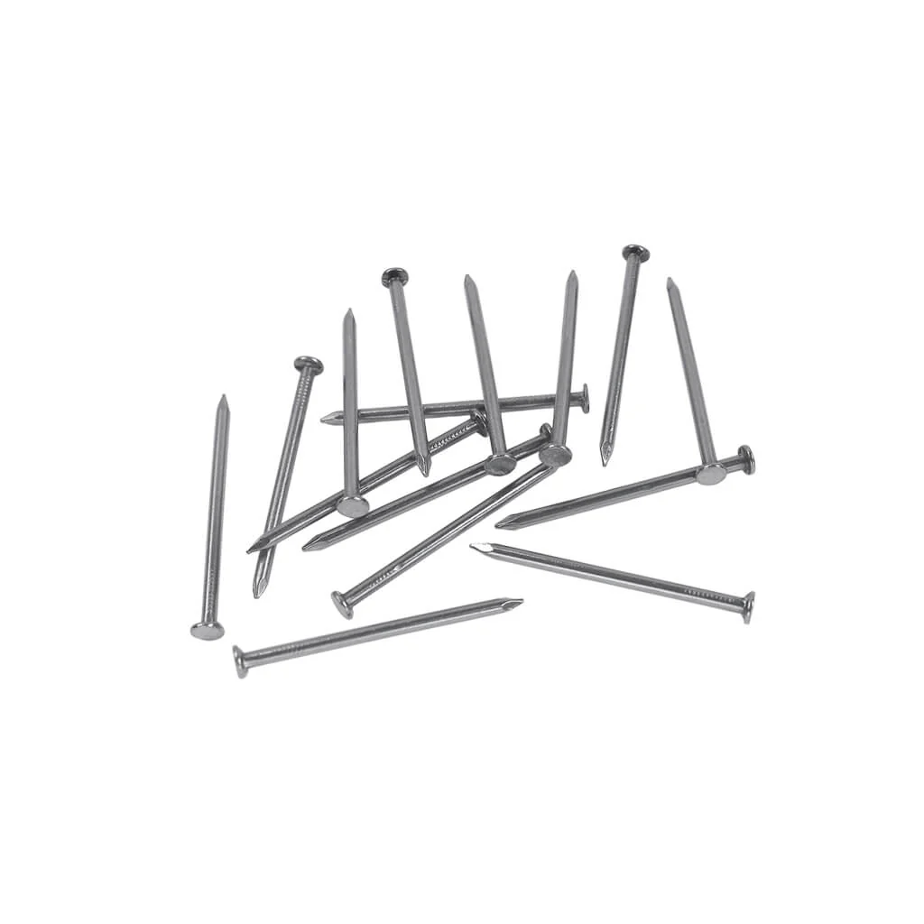 DuraDrive 2 in. Common Nails 50Lbs - Image 2